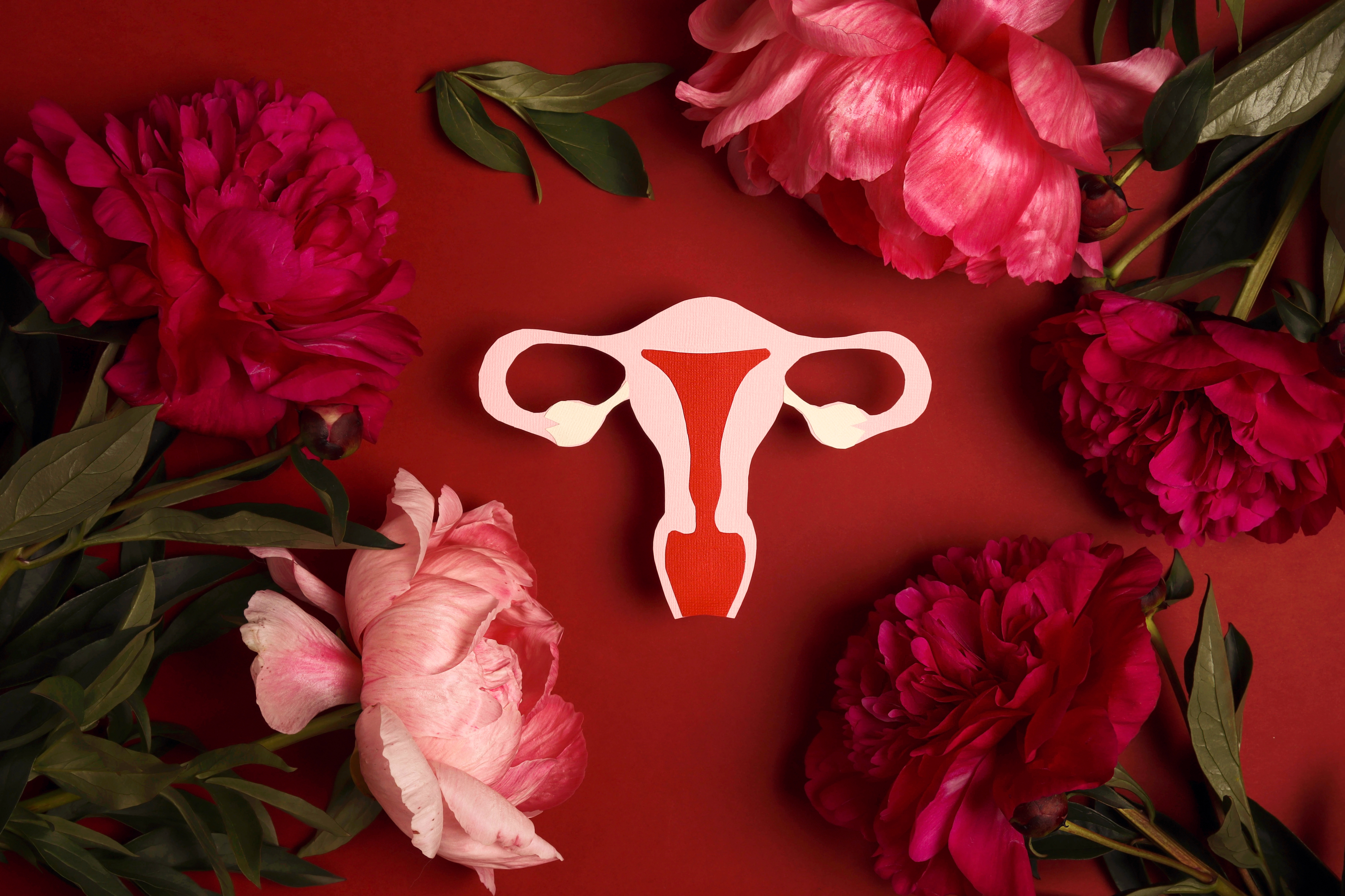 le sexisme en politique